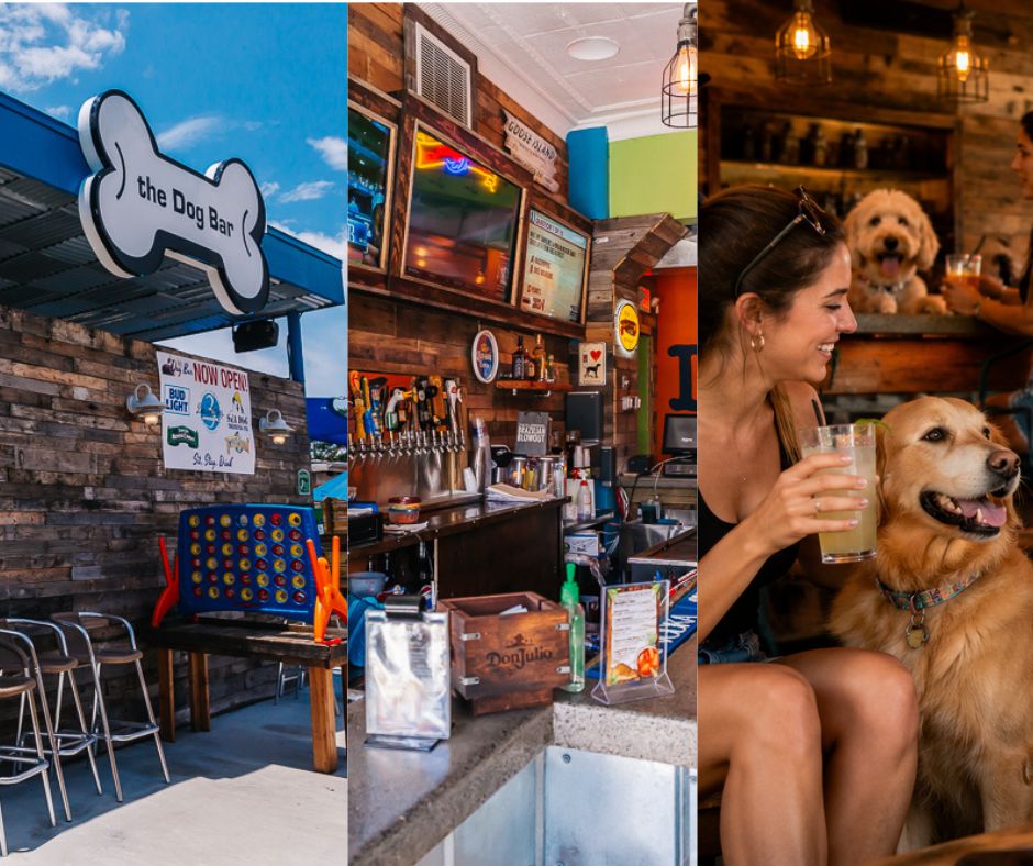 Dog-Bar-St-Petersburg-A-Fun-Social-Dog-Friendly-Spot-for-Locals-Visitors-and-Anyone-Who-Loves-a-Good-Time-Facebook-Post